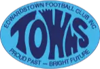 Towns logo